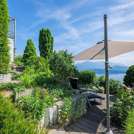 Castagno - * Belgirate